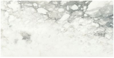 Neomi White Polished Porcelain Wall and Floor Tile - 12 x 24 in.