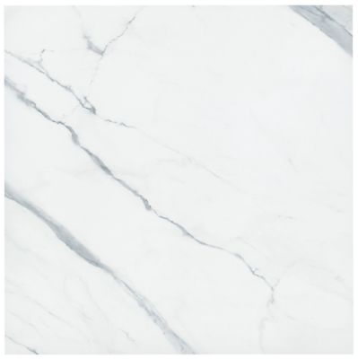 Elite Renoir Polished Porcelain Wall and Floor Tile - 48 x 48 in.