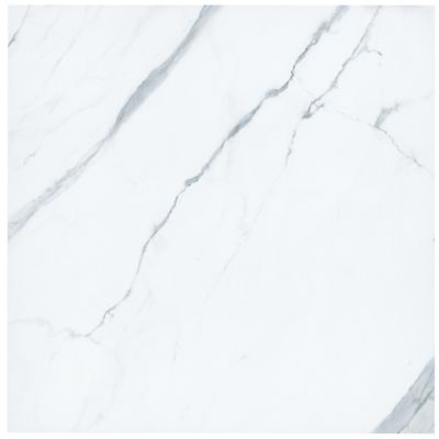 Elite Renoir Matte Porcelain Wall and Floor Tile - 48 x 48 in.