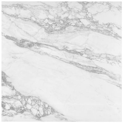 Niro Polished Porcelain Wall and Floor Tile - 35 x 35 in.