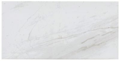 Volakas Porcelain Wall and Floor Tile - 12 x 24 in.