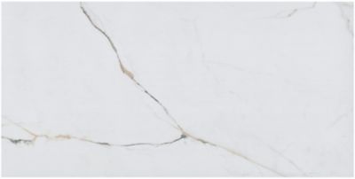 Torano Dorado Matte Porcelain Wall and Floor Tile - 24 x 48 in.