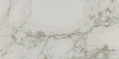 Bianca Foresta White Porcelain Wall and Floor Tile - 12 x 24 in.