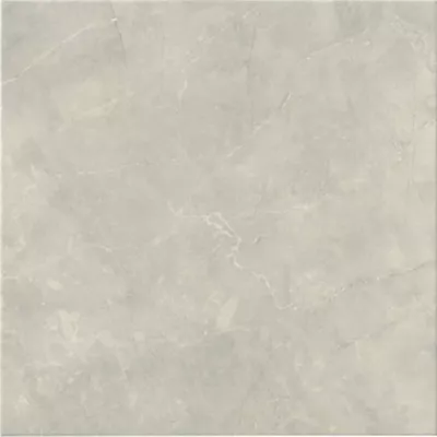 Titziano Ceramic Wall and Floor Tile - 24 x 24 in. - The Tile Shop