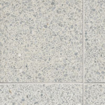 Payande Terrazzo Wall and Floor Tile - 16 x 16 in.