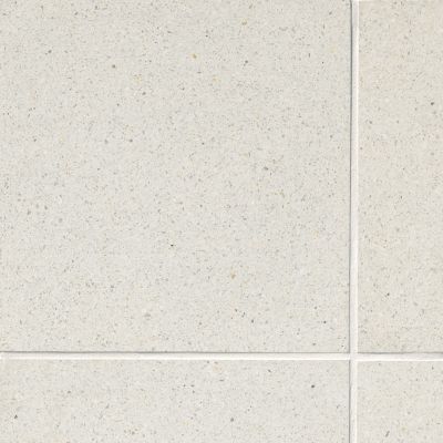 Terrazzo Flooring