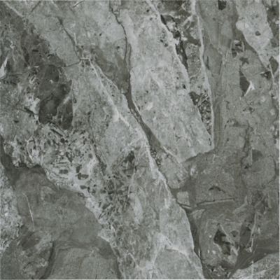 Alaska Ceramic Wall and Floor Tile - 24 x 24 in.