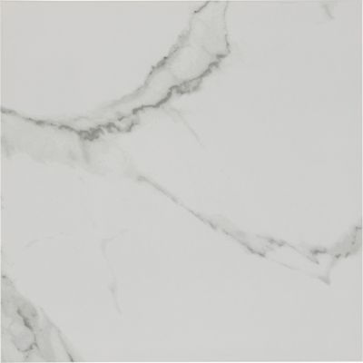 Tranco Ceramic Wall and Floor Tile - 16 x 16 in.