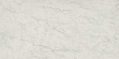 Nature Carrara Porcelain Wall and Floor Tile - 24 x 48 in.