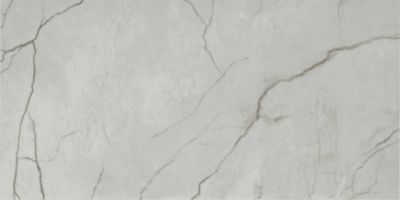 Elegance Marble Pearl Porcelain Wall and Floor Tile - 24 x 48 in.