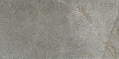 Mask Silver Porcelain Wall and Floor Tile - 12 x 24 in.