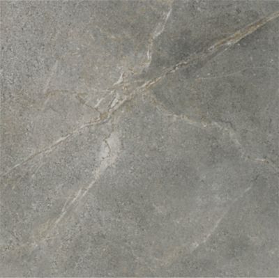 Mask Silver Porcelain Wall and Floor Tile - 24 x 24 in.