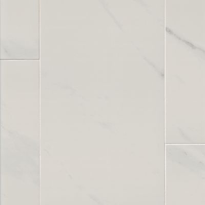 Lenci White Matte Porcelain Wall and Floor Tile - 12 x 24 in.