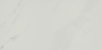 Lenci White Matte Porcelain Wall and Floor Tile - 12 x 24 in