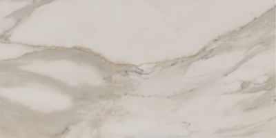 Rio Calcatta White Porcelain Wall and Floor Tile - 24 x 48 in.