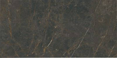 Aesthetica Golden Black Porcelain Wall and Floor Tile - 24 x 48 in.