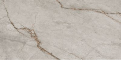 Room Grey Porcelain Wall and Floor Tile - 24 x 48 in.