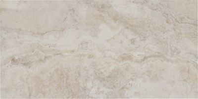 Candy Blanco Porcelain Wall and Floor Tile - 24 x 48 in.