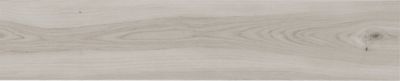 Salem Ash Porcelain Wall and Floor Tile - 12 x 59 in.