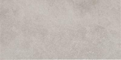 Endless White Porcelain Wall and Floor Tile - 12 x 24 in.