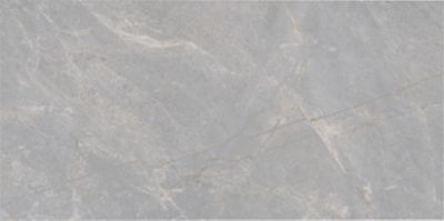 Nature Fior Di Bosco Porcelain Wall and Floor Tile - 12 x 24 in.