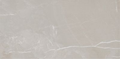 Silverstone ESM Polished Porcelain Wall and Floor Tile - 19 x 39 in.