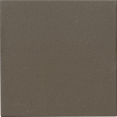 TerraCotta Grey Field Quarry Wall and Floor Tile - 6 x 6 in.