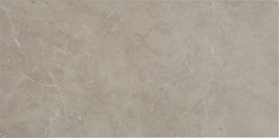 Vermeer Structured Grey Porcelain Wall and Floor Tile - 12 x 24 in.