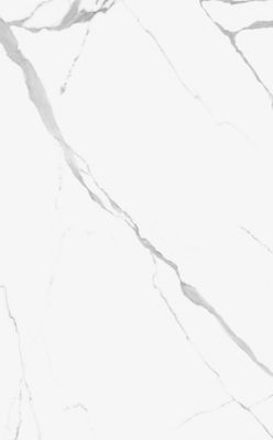 Statuario Nuovo Polished Porcelain Wall Panel - 32 x 64 in.