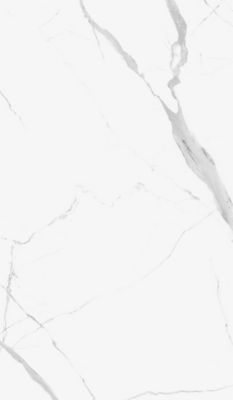 Statuario Nuovo Polished Porcelain Wall Panel - 30 x 64 in.