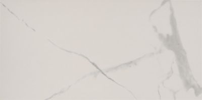 Statuario Nuovo Polished Porcelain Wall and Floor Tile - 12 x 24 in.