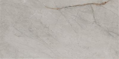 Grey Roots Porcelain Wall and Floor Tile - 12 x 24 in.