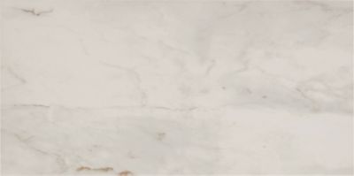 Cremo Delicato Porcelain Wall and Floor Tile - 12 x 24 in.