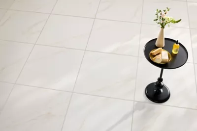 Arabian Tresana White Matte Porcelain Wall and Floor Tile - 24 x