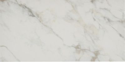 Borghini Classico Polished Porcelain Wall and Floor Tile - 12 x 24 in.
