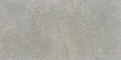 Silverstone ESM Polished Porcelain Wall and Floor Tile - 19 x 39