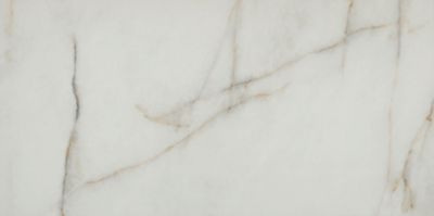 Bay White Matte Porcelain Wall and Floor Tile - 12 x 24 in.