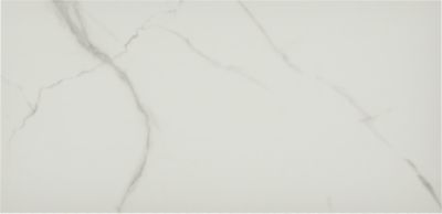 Nuovo Lincoln White Matte Porcelain Large Format Wall and Floor Tile - 12 x 24 in.