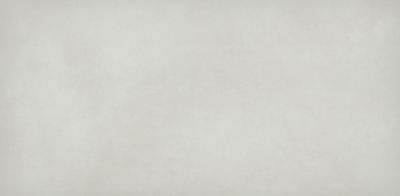 Fusion Chalk Porcelain Wall and Floor Tile - 24 x 47 in.