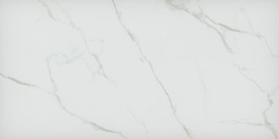 Marmo Calcatta Gold Matte Porcelain Large Format Wall and Floor Tile - 24 x 48 in.