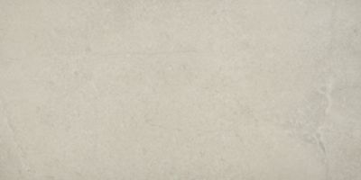 Cotto Petrus Daino Matte Porcelain Large Format Wall and Floor Tile - 12 x 24 in.