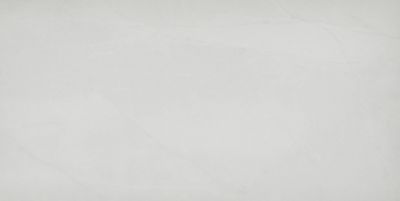 Walk White Matte Porcelain Large Format Wall and Floor Tile - 12 x 24 in.